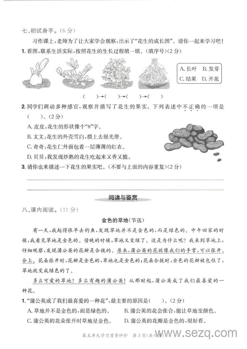 2025年三年级上册语文第五单元学习质量评价（含作文纸答案） - 文档资源第3张