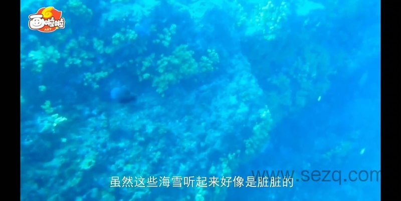 海底世界总动员 - 动画资源画廊第9张