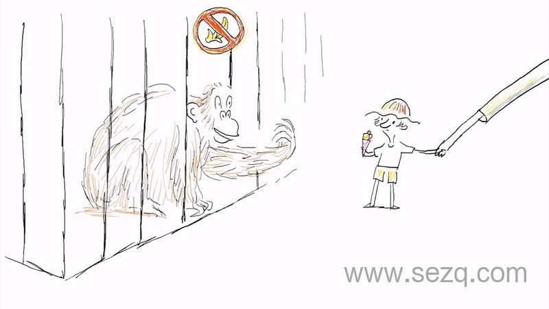 科普自然历史动画短片 - 动画资源画廊第8张