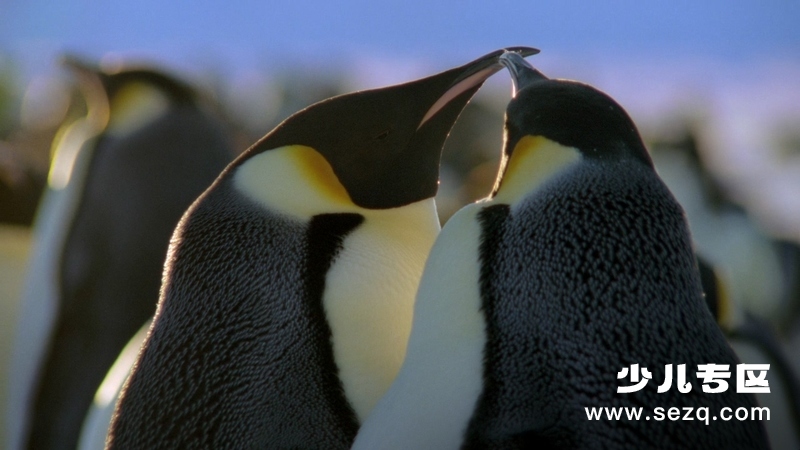 冰冻星球 - 动画资源画廊第4张