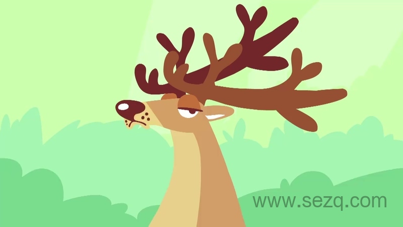 奥托看动物 - 动画资源画廊第4张