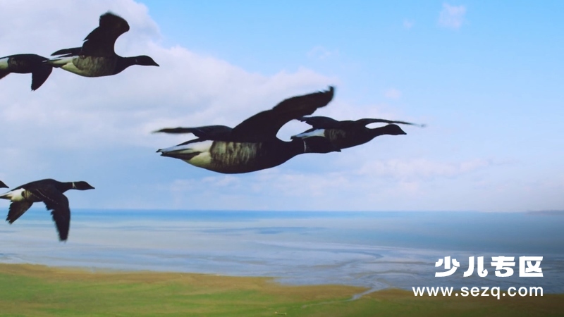 怪诞星球 - 动画资源画廊第5张