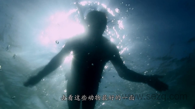 最后一眼 - 动画资源画廊第6张