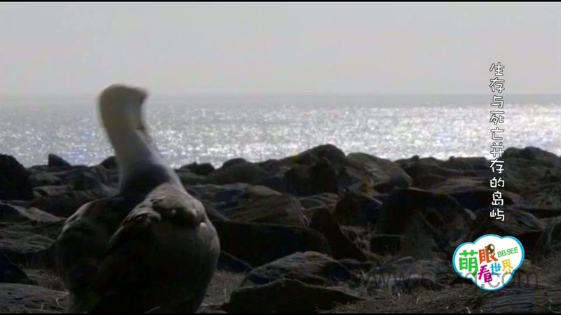 萌眼看世界 - 动画资源画廊第4张