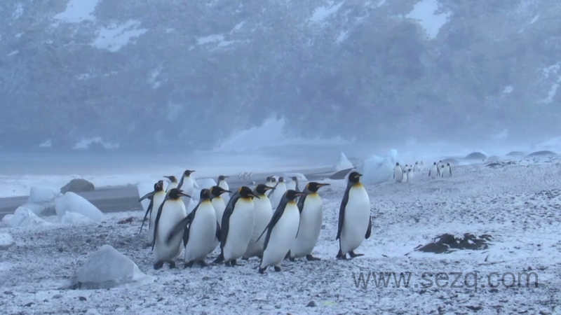 地球星球 - 动画资源画廊第2张