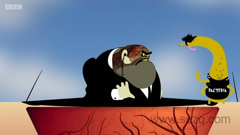 奥趣科普儿童版 - 动画资源画廊第7张