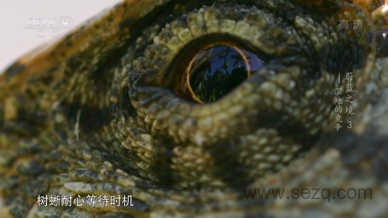 蔚蓝之境 - 动画资源画廊第5张