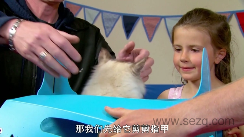 我的宠物和我 - 动画资源画廊第2张