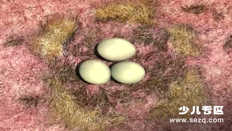 丛林节奏 - 动画资源画廊第8张