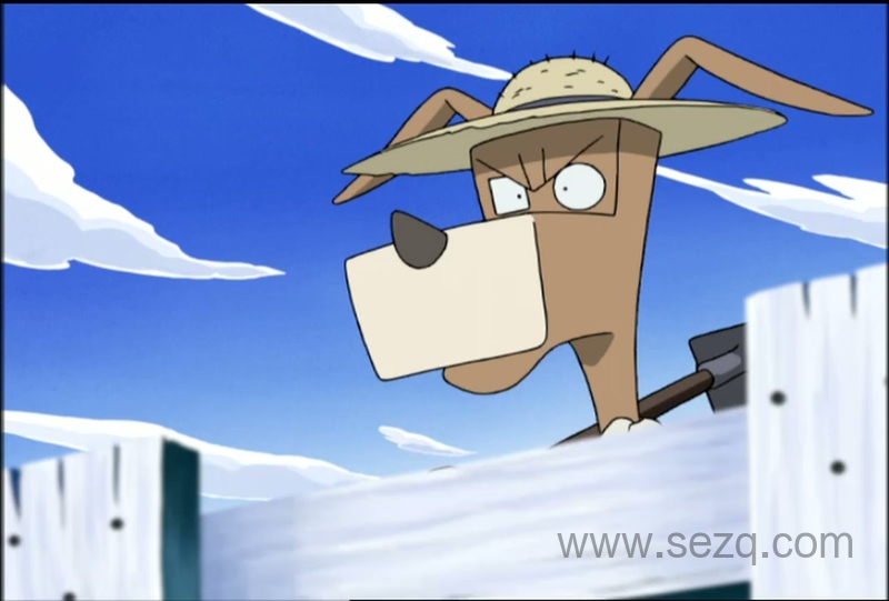 怪侠佐罗利 - 动画资源画廊第2张