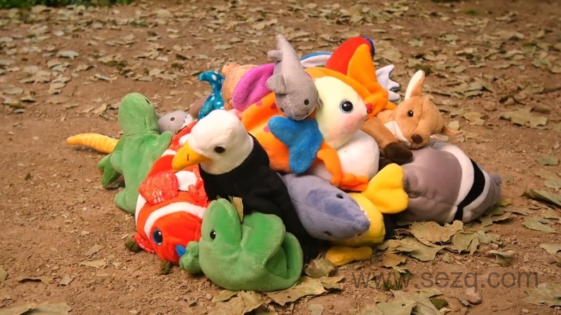 故事机器人都知道 - 动画资源画廊第2张