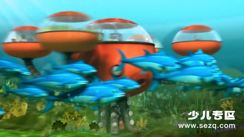 海底小纵队 - 动画资源画廊第3张
