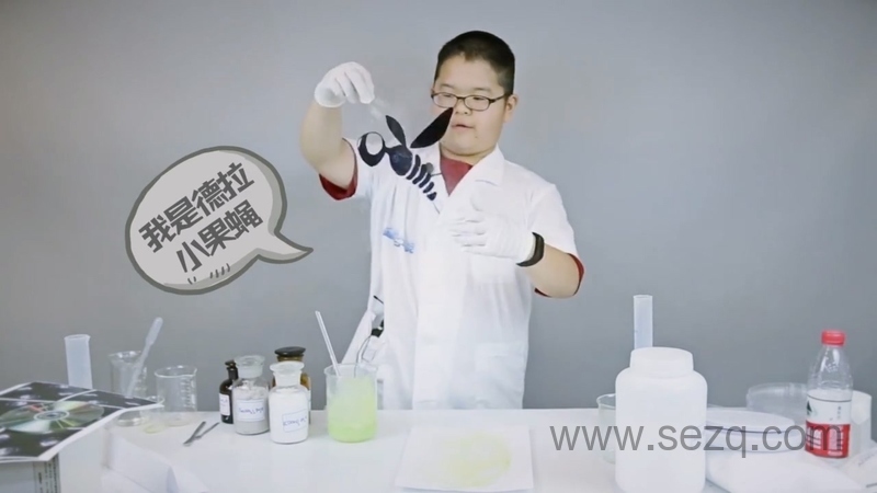 德拉少儿科学实验室 - 动画资源画廊第3张