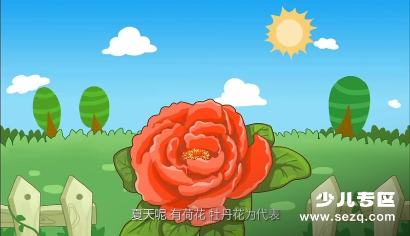 MOMOKING素质早教微课 - 动画资源画廊第6张