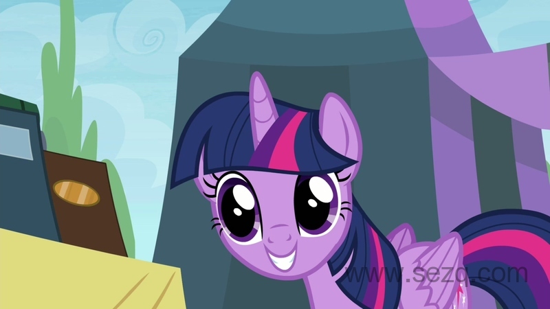 我的小马驹：友谊是魔法 - 动画资源画廊第3张