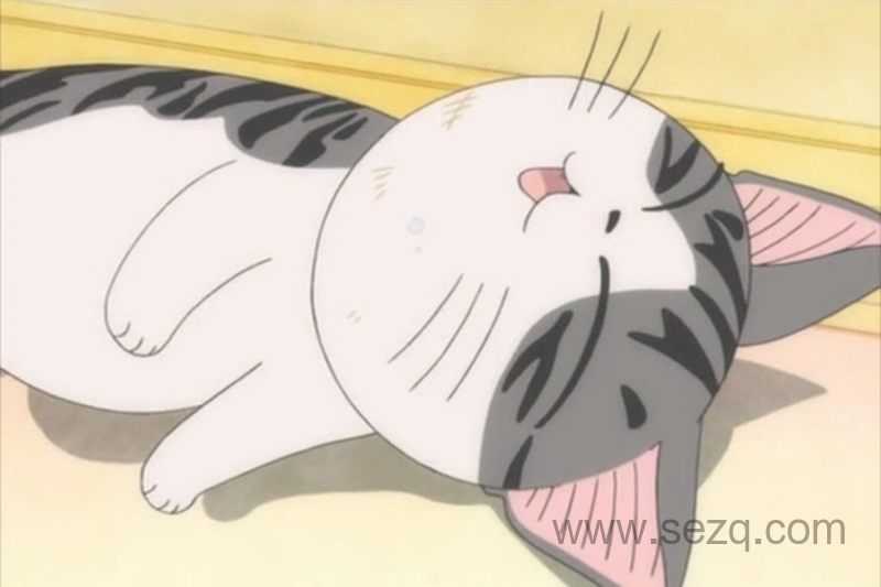 甜甜私房猫 - 动画资源画廊第2张