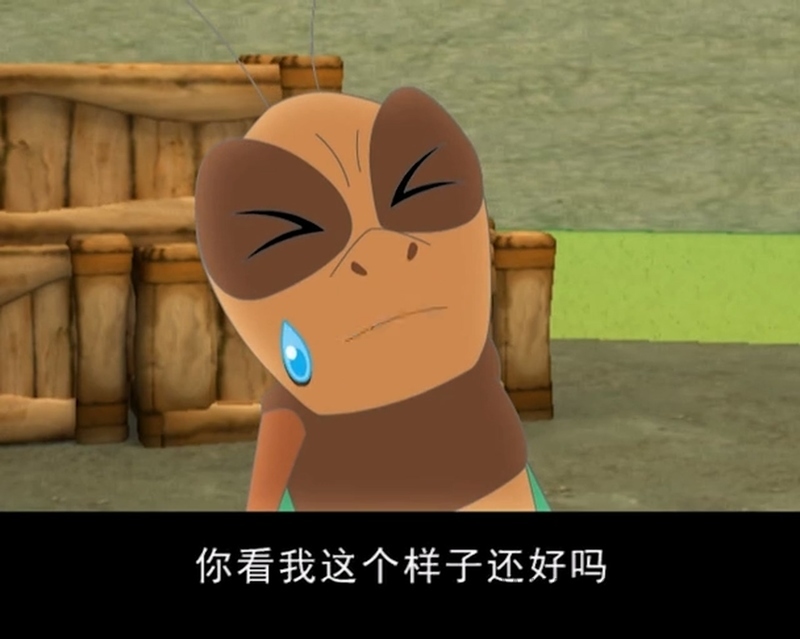 豚鼠家庭校园安全系列 - 动画资源画廊第3张