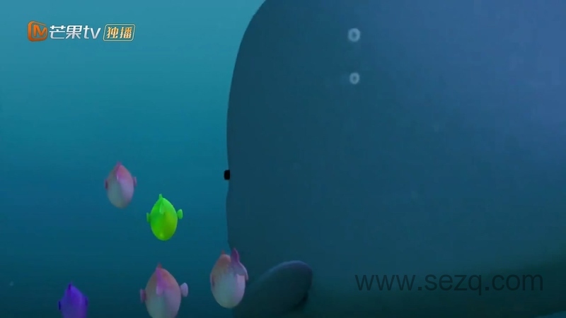 汪汪队立大功之海陆空大行动 - 动画资源画廊第3张