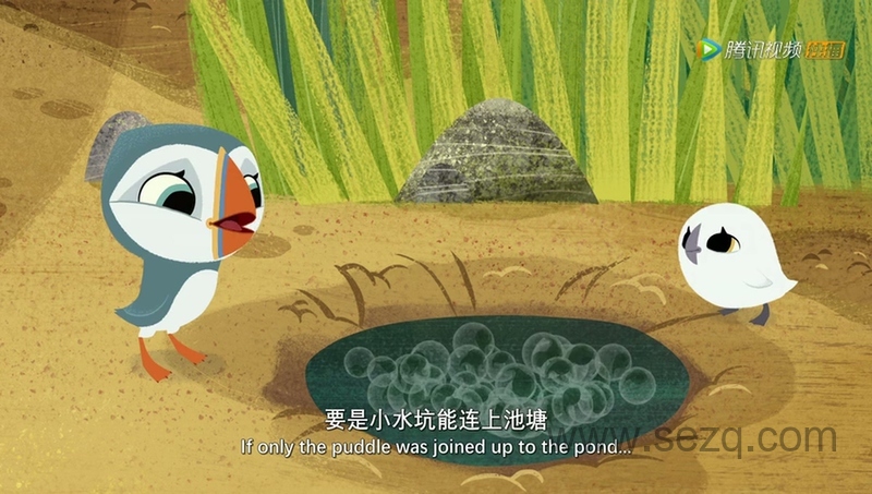 欢乐海鹦岛 - 动画资源画廊第2张