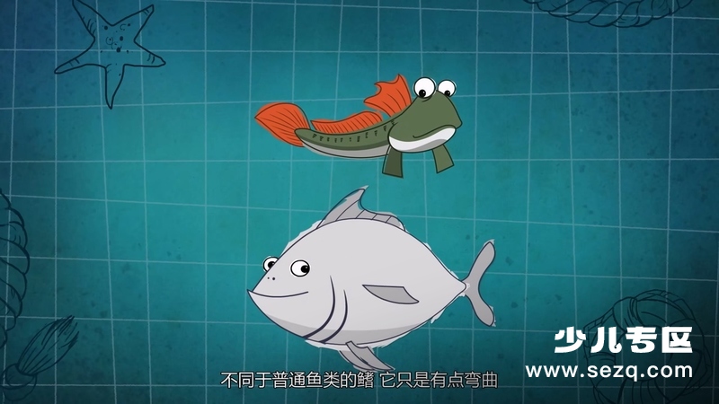 我是一条鱼 - 动画资源画廊第5张