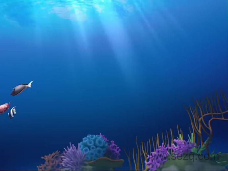 探索地球村 - 动画资源画廊第8张