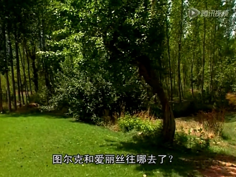 森林小精灵 Tork - 动画资源画廊第2张