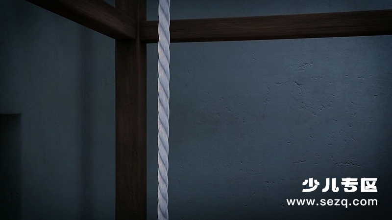 少年佐罗 - 动画资源画廊第6张