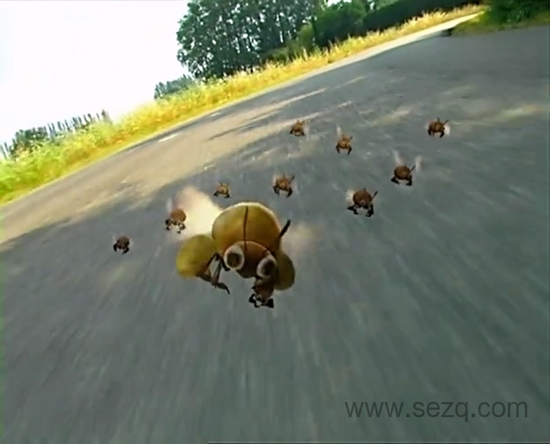 微观小世界 - 动画资源画廊第6张