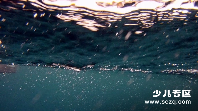 生命的奇迹 - 动画资源画廊第3张