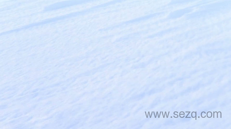 精灵梦叶罗丽 - 动画资源画廊第2张