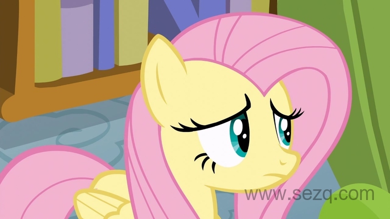 我的小马驹：友谊是魔法 - 动画资源画廊第4张