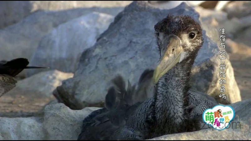 萌眼看世界 - 动画资源画廊第8张