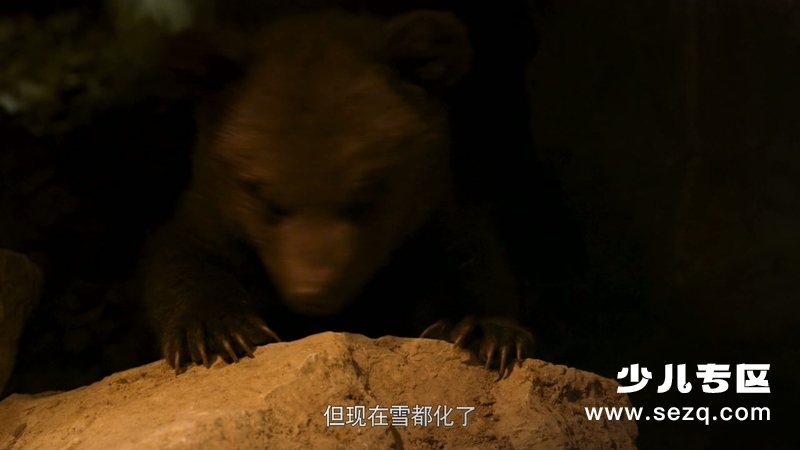 如果我是一只动物 - 动画资源画廊第3张