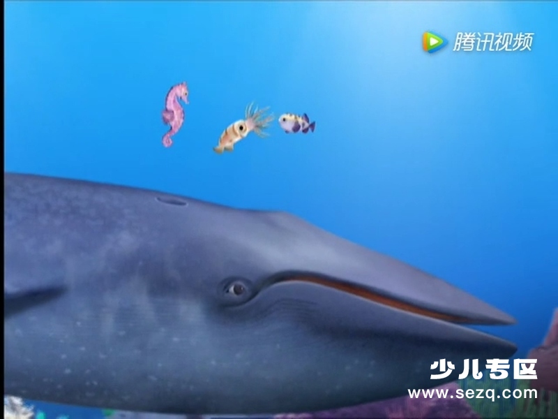 神奇宠物救援队 - 动画资源画廊第8张