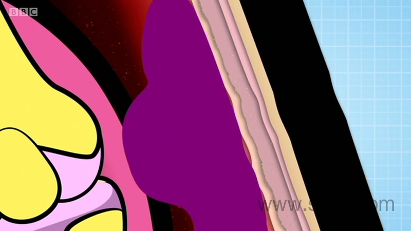 奥趣科普儿童版 - 动画资源画廊第9张