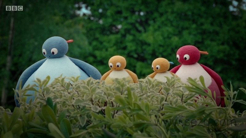 趣趣知知鸟 - 动画资源画廊第7张