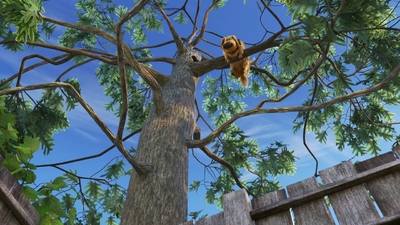 迪士尼动画片《小逗的日子 Dug Days》第一季 英语中字 全5集MP4下载 - 少儿专区