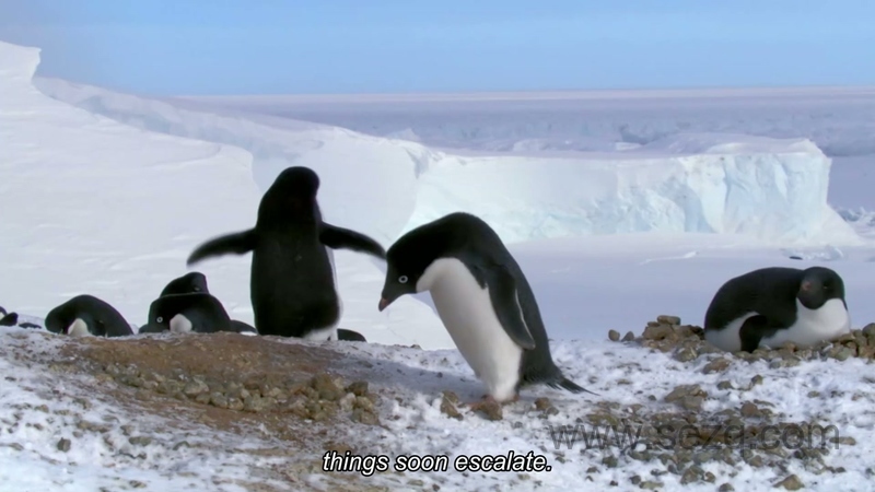 地球星球 - 动画资源画廊第7张