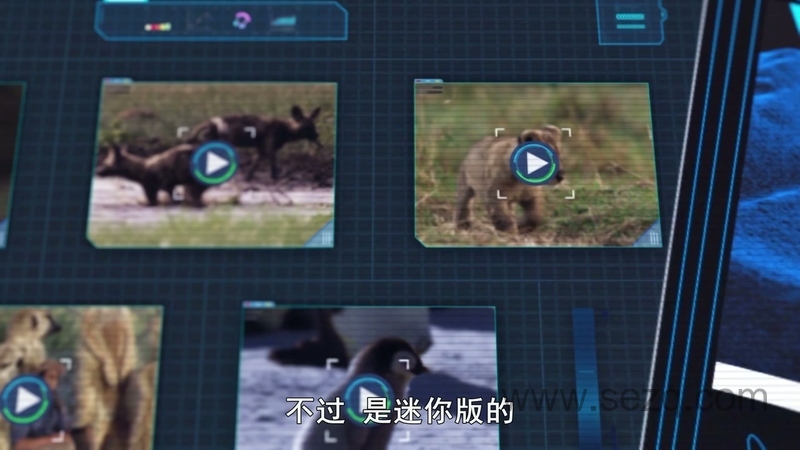 安迪的前五名的恐龙 - 动画资源画廊第9张