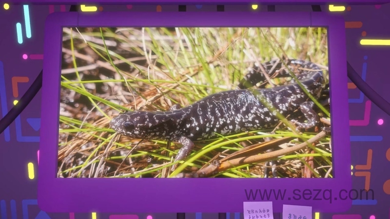 动物谜案 - 动画资源画廊第4张