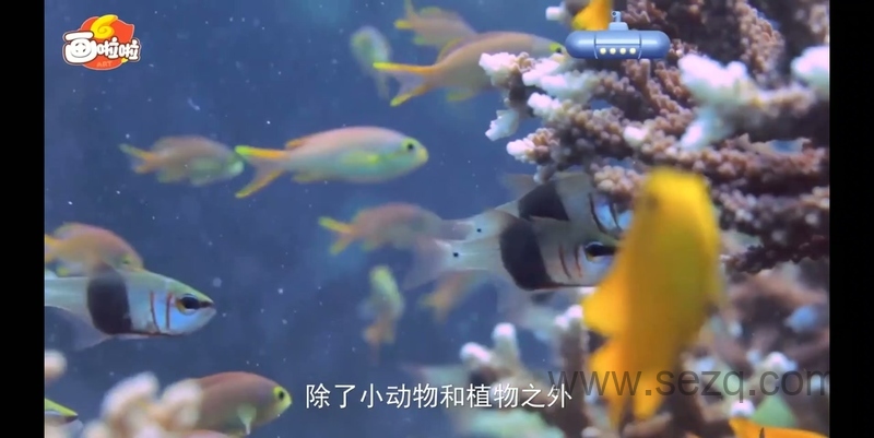 海底世界总动员 - 动画资源画廊第8张