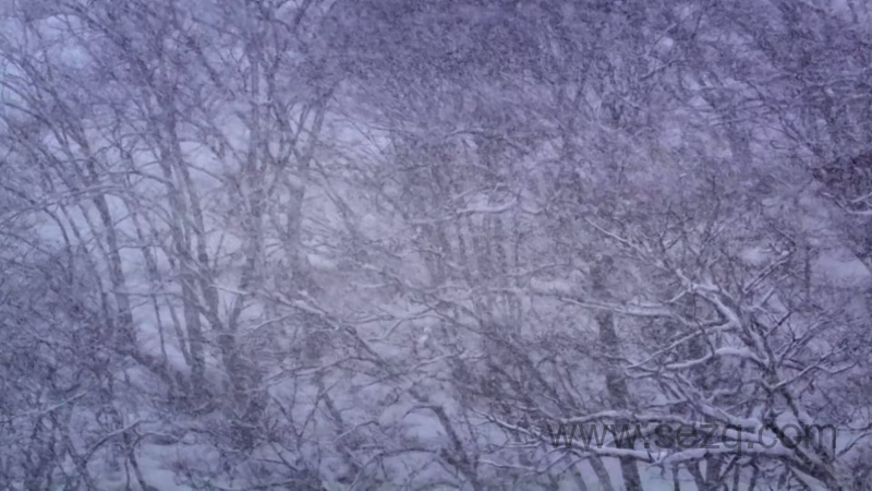 安迪的动物宝宝 - 动画资源画廊第8张