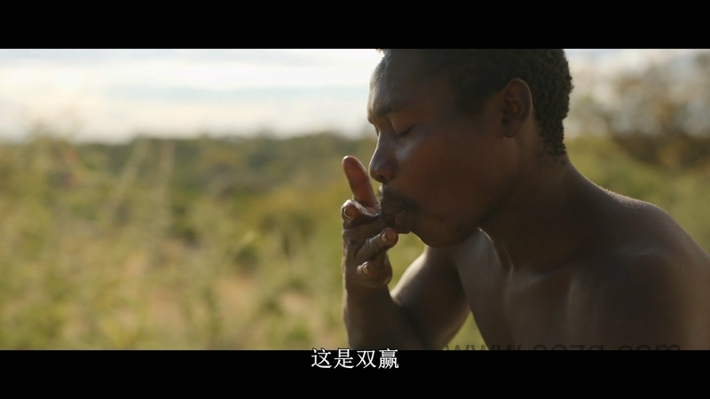 外星世界 - 动画资源画廊第5张