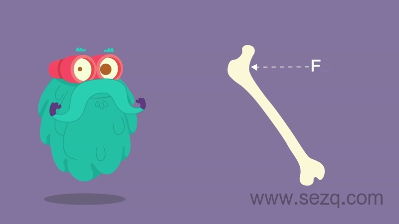 皮克布克儿童 - 动画资源画廊第4张