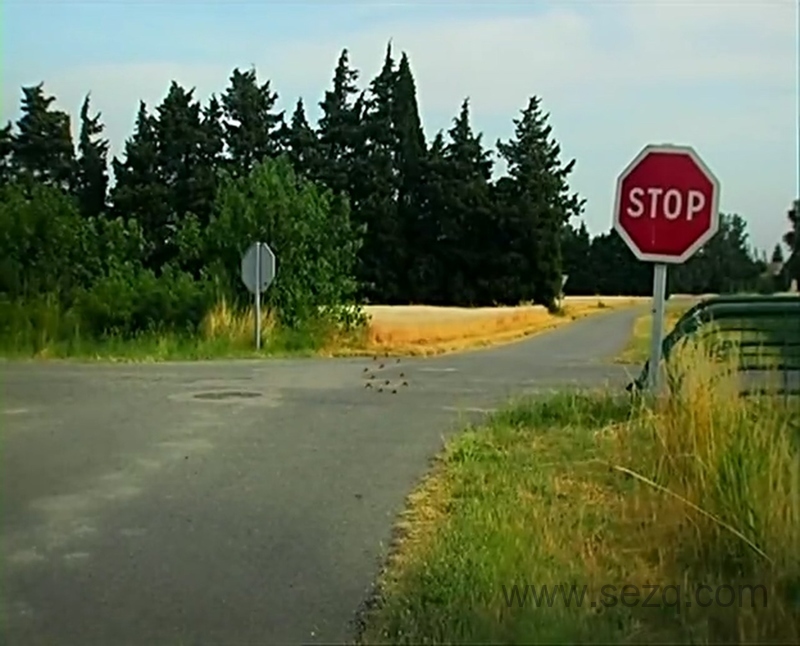 微观小世界 - 动画资源画廊第7张