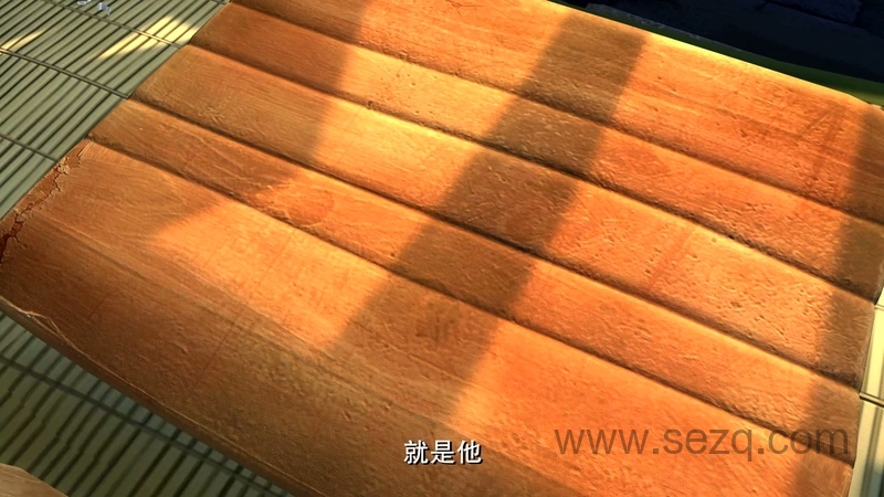 熊出没之夏日连连看 - 动画资源画廊第5张