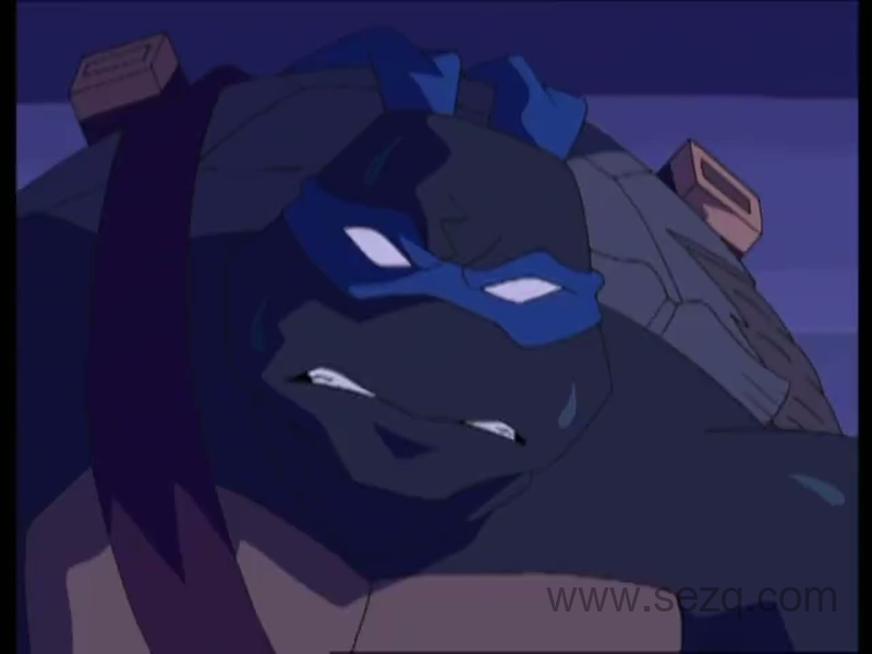 忍者神龟 - 动画资源画廊第5张