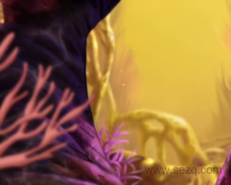 小鲤鱼历险记 - 动画资源画廊第8张