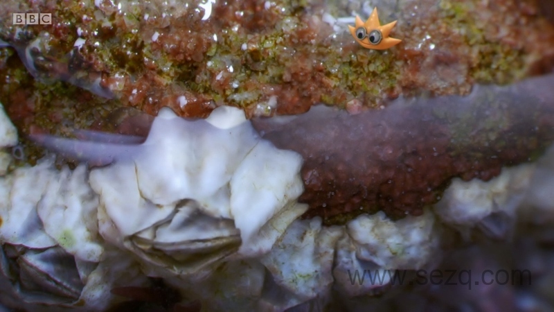 小奇迹 - 动画资源画廊第8张