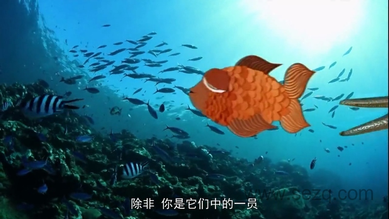 你最想知道的科学 - 动画资源画廊第4张